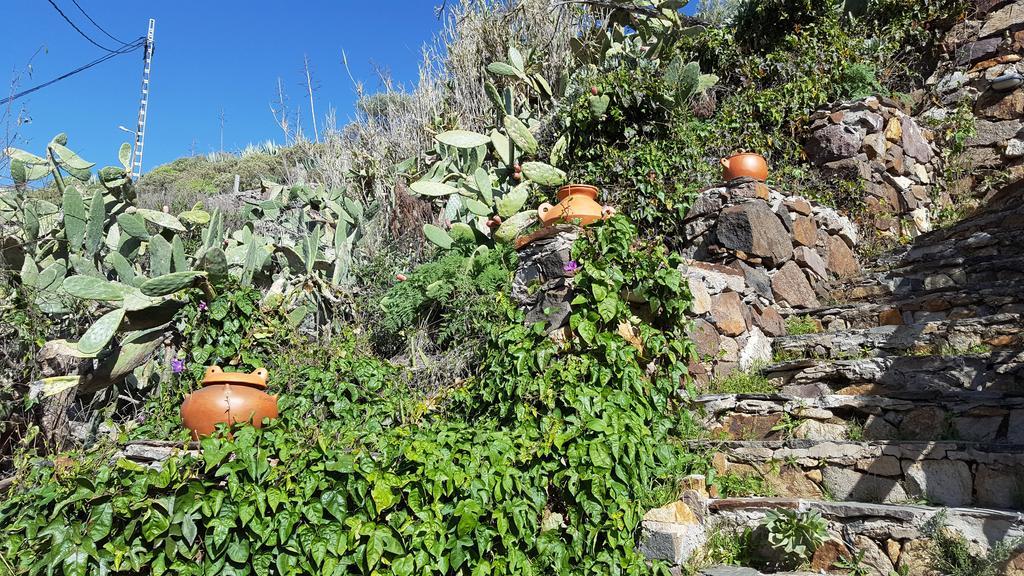 Casa Rural - Laendliches Haus, Pepita La De Las Flores Tejeda  Exterior foto
