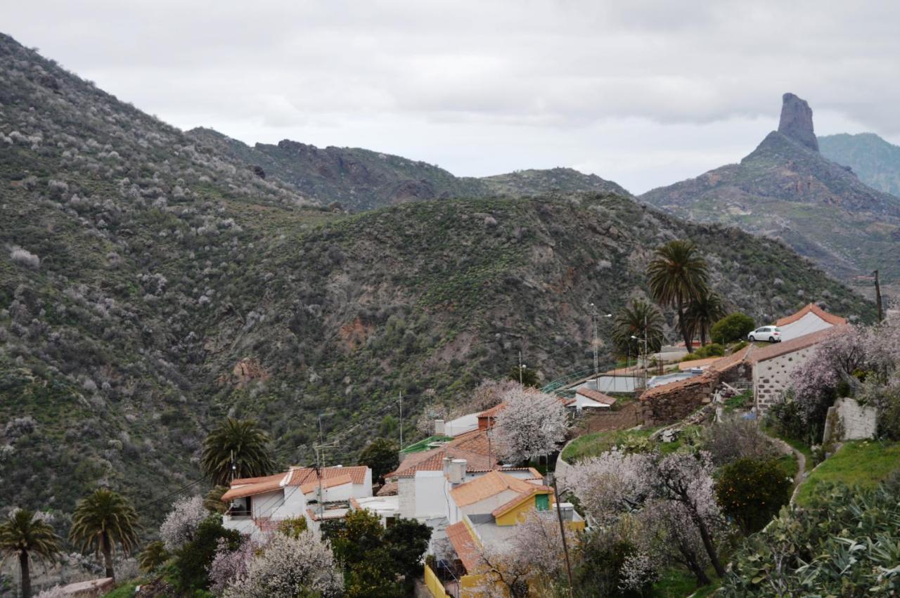 Casa Rural - Laendliches Haus, Pepita La De Las Flores Tejeda  Exterior foto